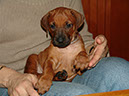 alva20040319
