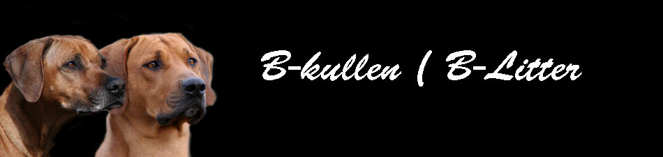 b_kullenlogo